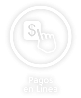 iconos-web-pagos